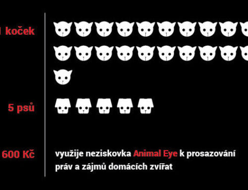 Infografika: Jak jsme podpořili zvířata v roce 2017