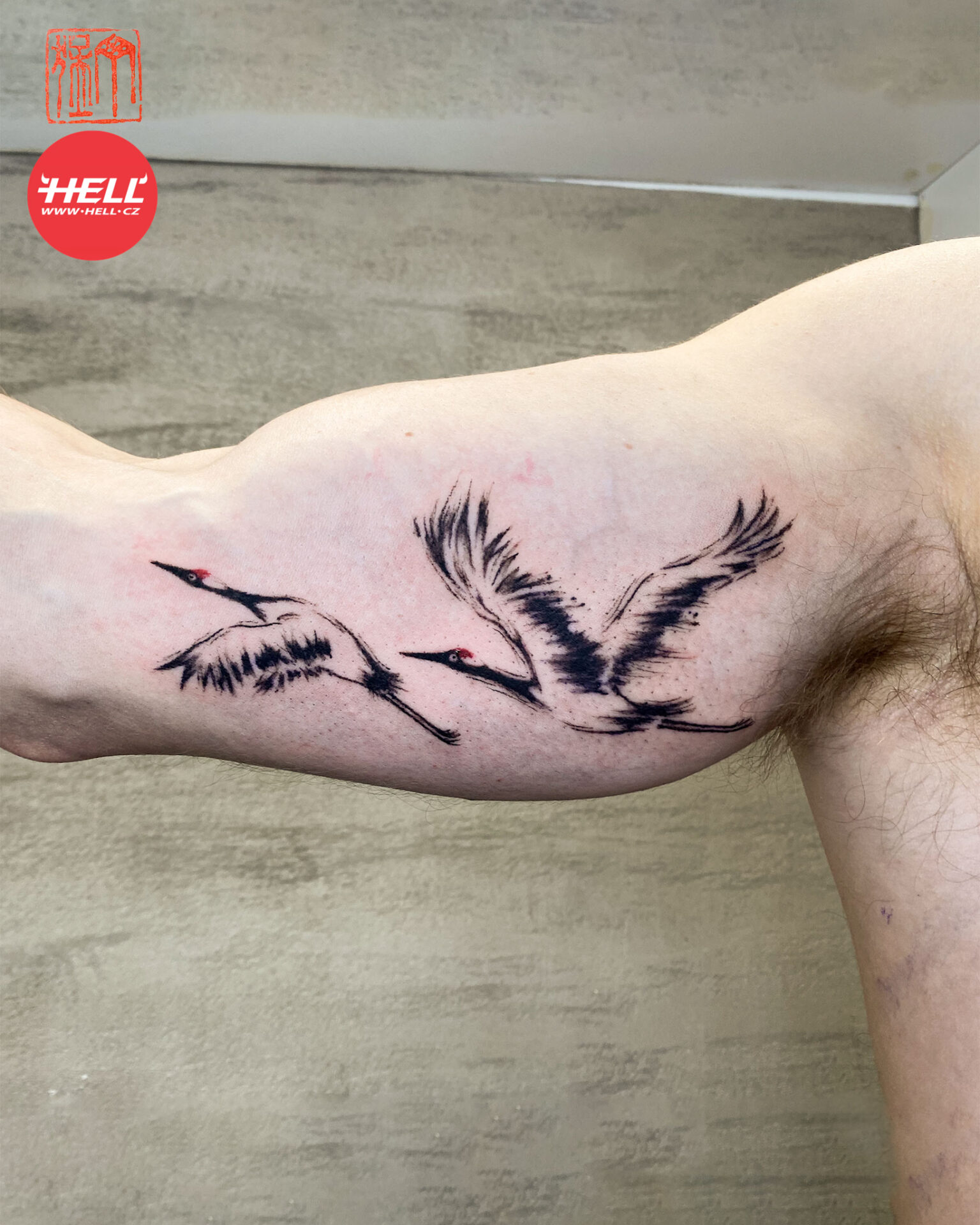 Tetování letících jeřábů Ding Hell.cz walk-in dny Praha bez objednání