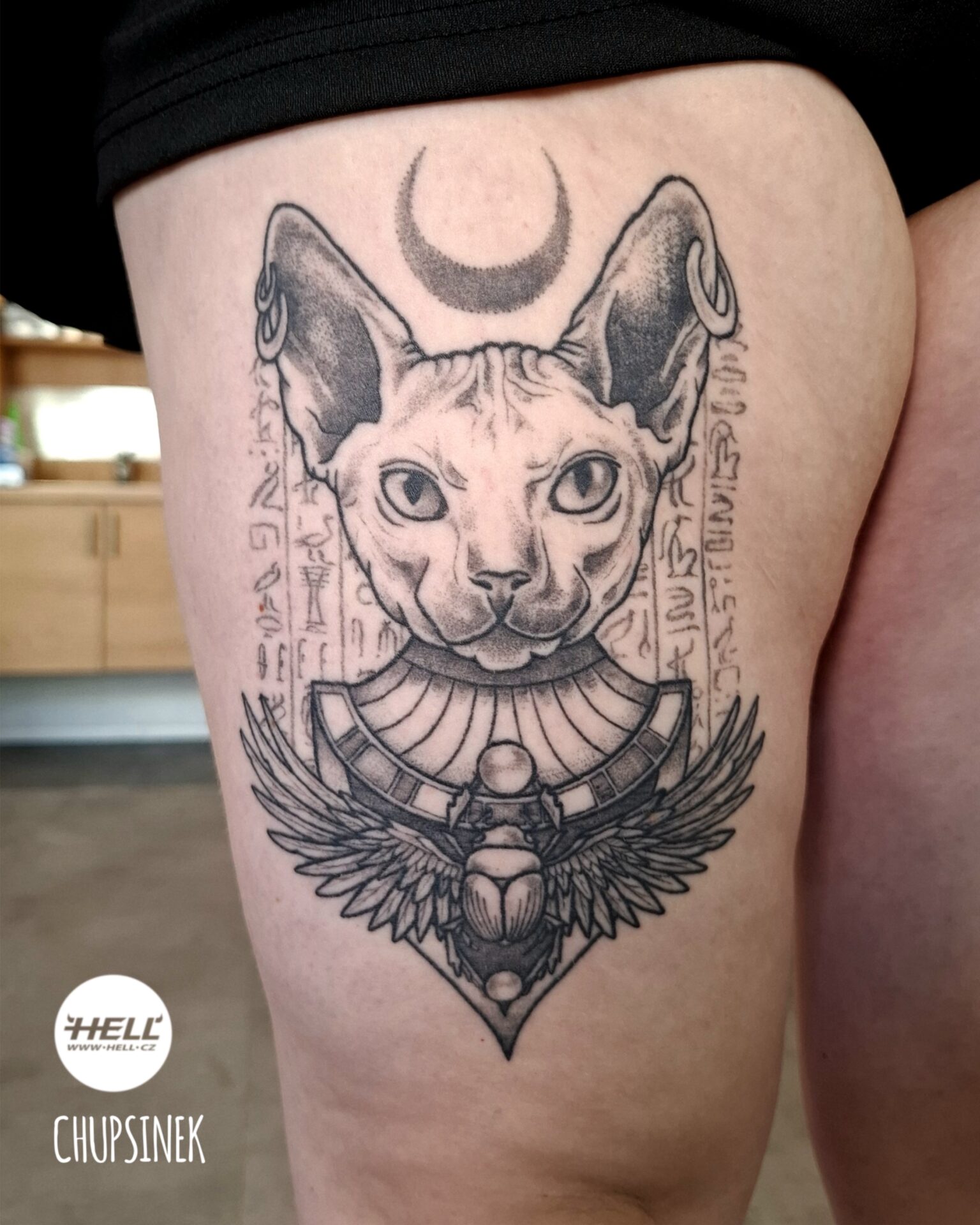 Chupsinek tetování sphynx kočka