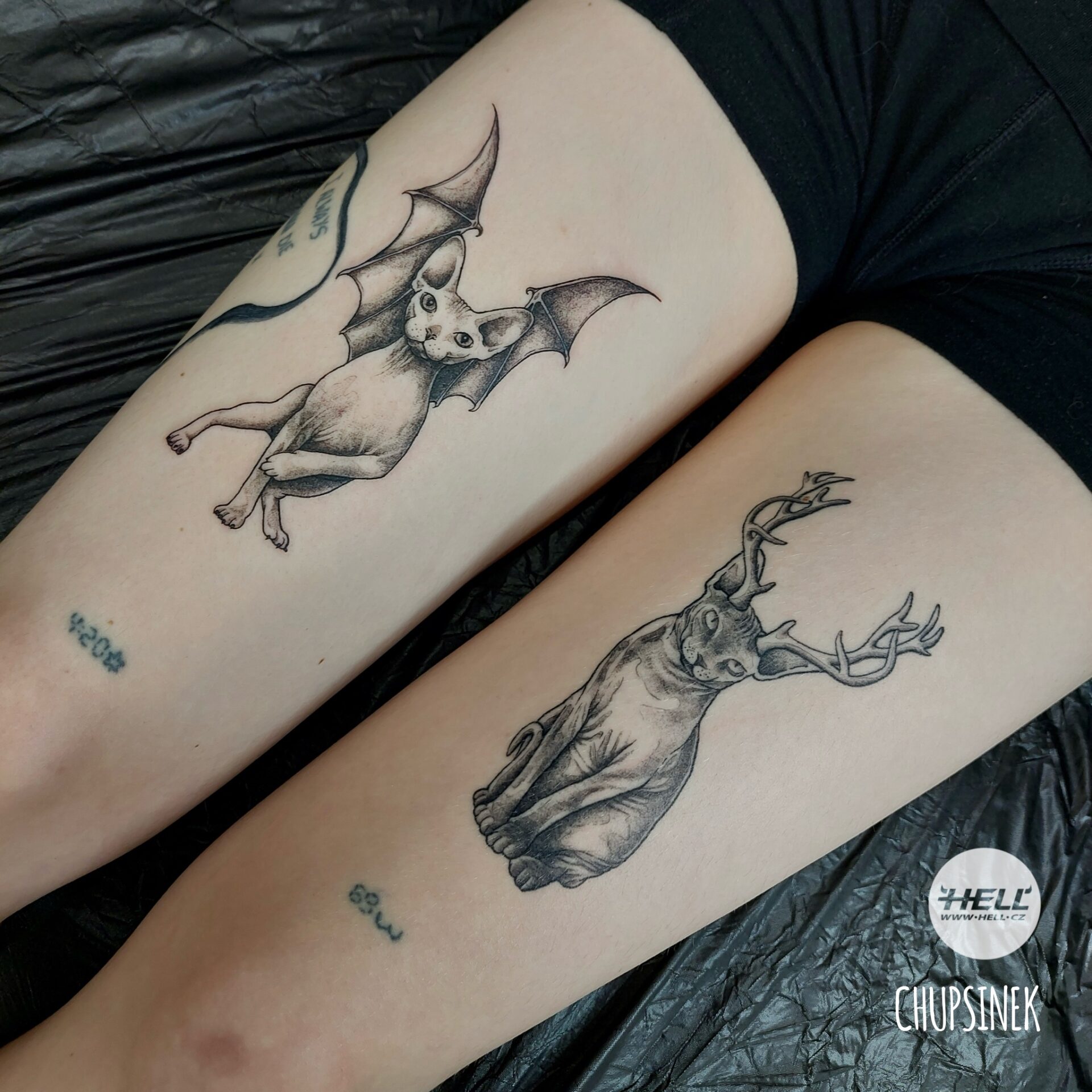 Chupsinek tetování sphynx netopýr jelen